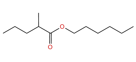 Hexyl 2-methylpentanoate